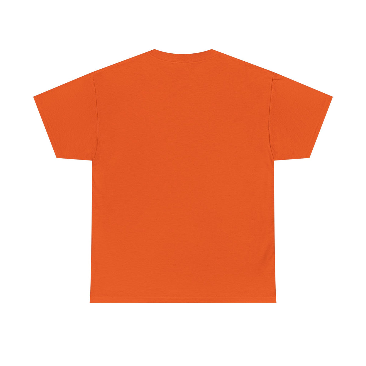 Evolution Rise & Transform Graphic Tee — Retro Sci‑Fi Gamer Tee